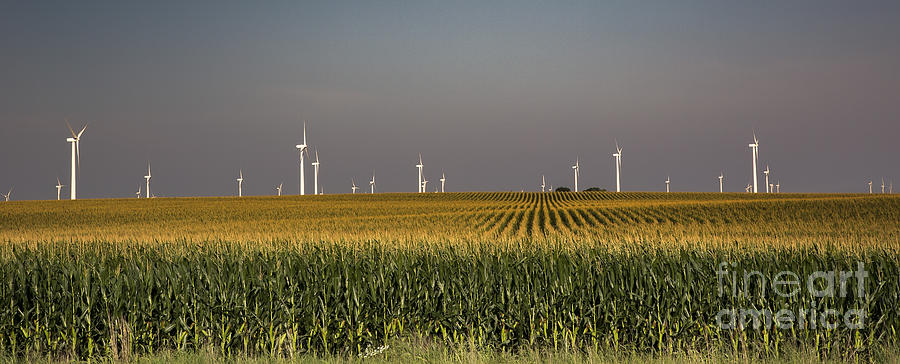 New Iowa Survey Demonstrates Widespread Bipartisan Support for Clean Energy Infrastructure
