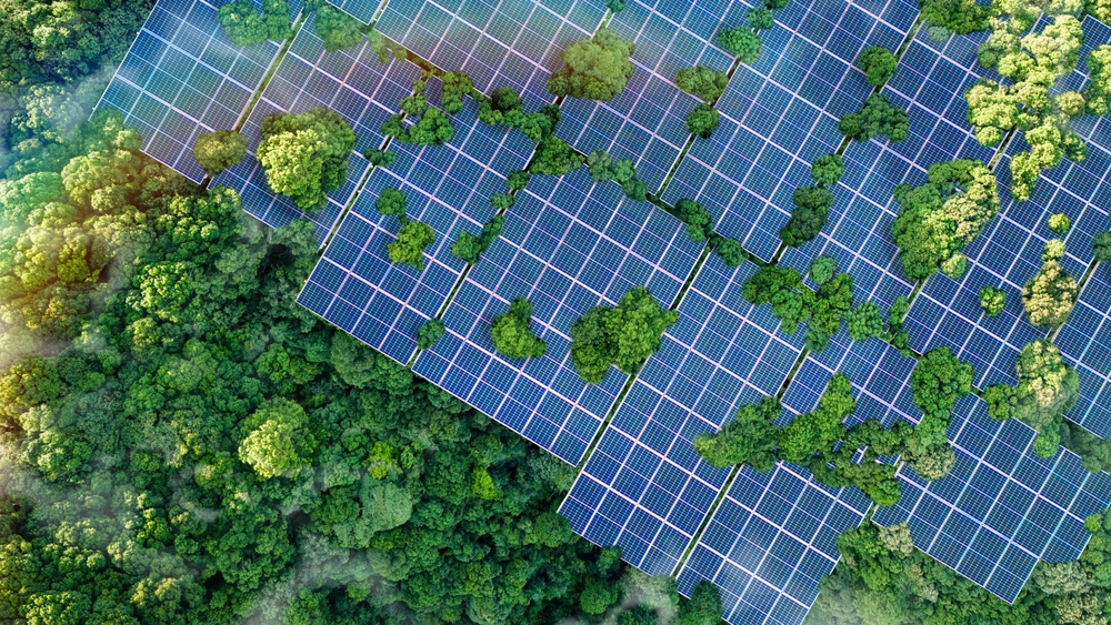 Voters in Georgia Support Continuing to Fund Clean Energy Investments