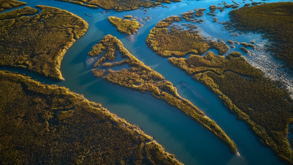 Voters in South Carolina Support Continuing to Fund Clean Energy Investments