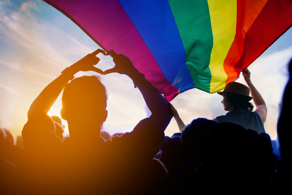 Alex Lundry Demographic Analysis: 20 Years of Marriage for Same-Sex Couples